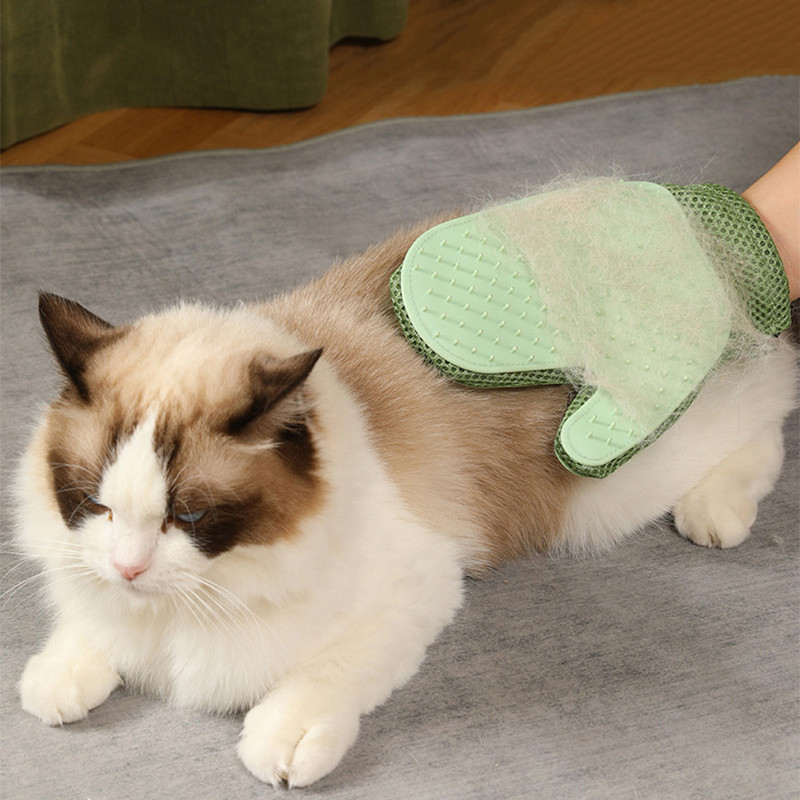 Kasside puhastuskindad Koerte hooldushari Täiendus 2-ühes Lemmikloomade karvade eemaldaja Kinnas Koera vann Iseseisev hooldamine Nahakindade tarvikud