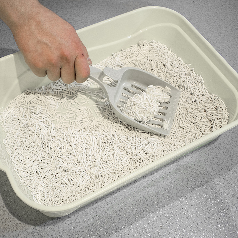 Cutie de gunoi pentru pisici Cutie de gunoi deschisă Cutie de gunoi cu cernere laterală înaltă Tavă de gunoi pentru pisici cu partea superioară deschisă pentru pisici, iepuri, pisici de interior, animale de companie mici