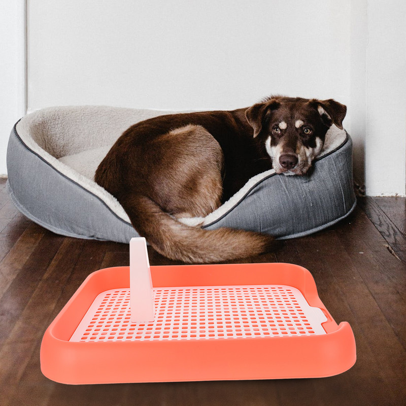 Koerte tualettpott potti aluspadja kutsikahoidja pissile siseruumides treenimine liivakast lemmikloomad lemmikloomad koerad võrk, treenimisvastane kassi liugsüsteem potid