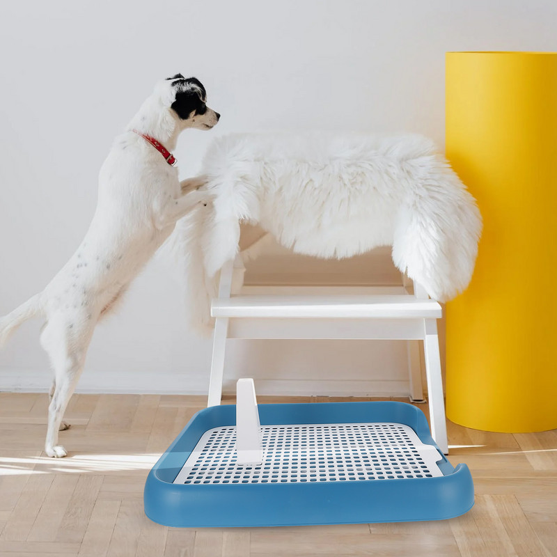 Koerte tualettpott potti aluspadja kutsikahoidja pissile siseruumides treenimine liivakast lemmikloomad lemmikloomad koerad võrk, treenimisvastane kassi liugsüsteem potid