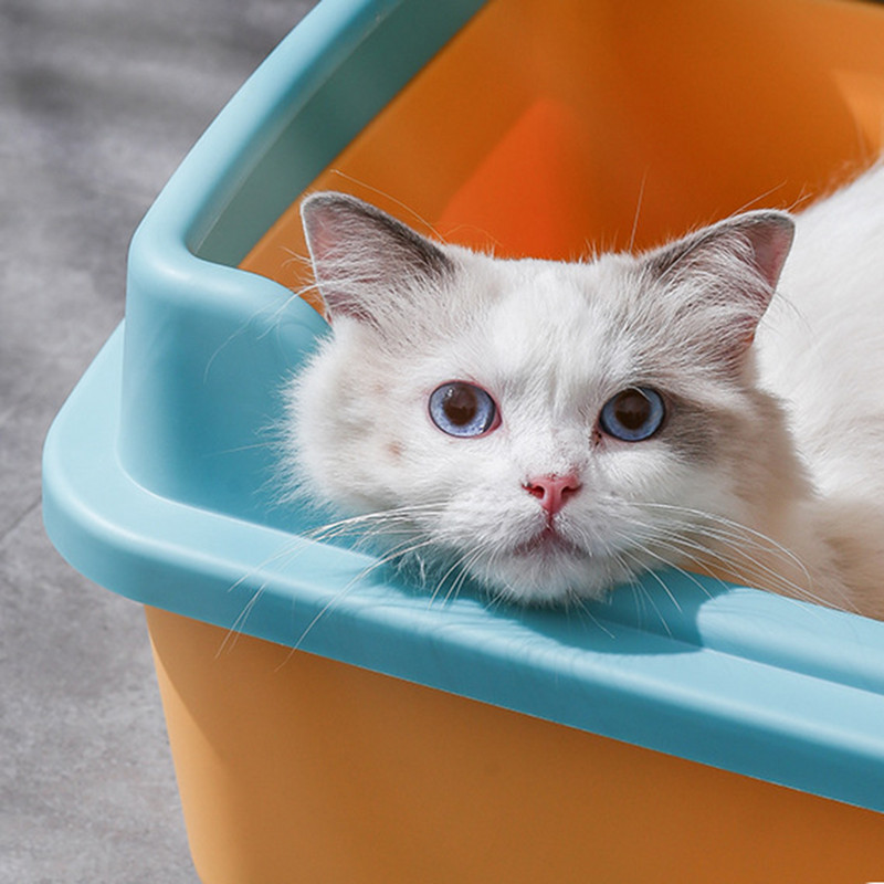 Котешки тоалетни за вътрешни котки На открито за котешки тоалетни Кутии ...