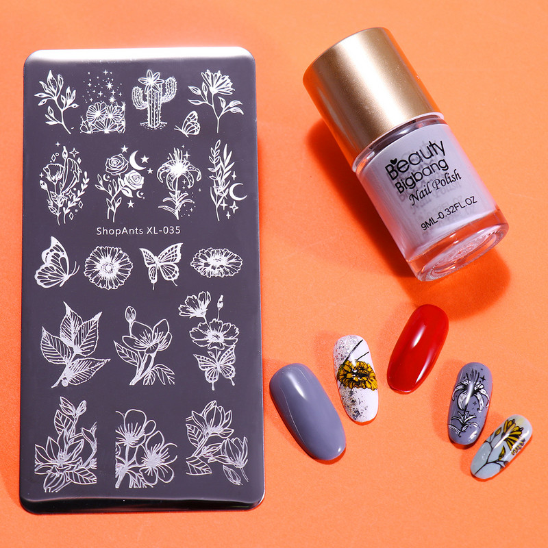 6 * 12 cm nagų štampavimo plokštės Gėlių drugelio kaktuso žolės lapai vaizdas Nerūdijančio plieno nagų dailės trafareto šablonas XL-035