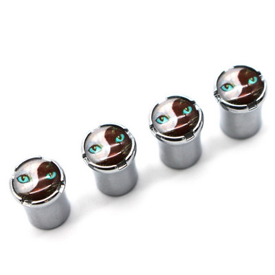 DSYCAR 4vnt./komplektas Automobilių modeliavimas Cinko lydinio automobilių padangų vožtuvų dangteliai ratų padangos padangos koto oro dangtelis hermetiški dangteliai sunkvežimių automobilių priedai