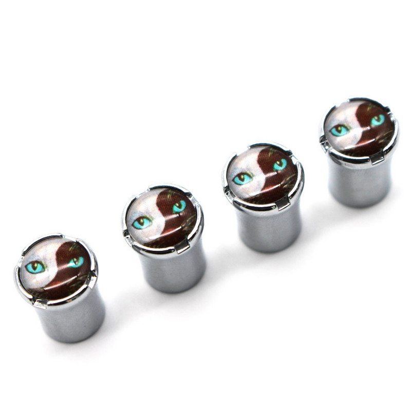 DSYCAR 4vnt./komplektas Automobilių modeliavimas Cinko lydinio automobilių padangų vožtuvų dangteliai ratų padangos padangos koto oro dangtelis hermetiški dangteliai sunkvežimių automobilių priedai