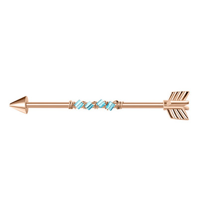 Pika noolega tööstuslik augustamine naistele roostevabast terasest tööstuslik kangi augustamine kõrvarõngas kõrva kõhre keha augustatud ehted