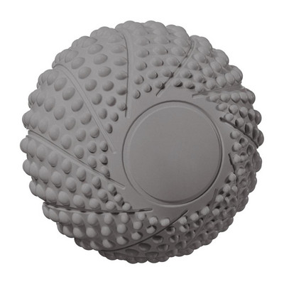 Κύλινδροι μασάζ με μπαλάκια μασάζ για πελματιαία άσκηση Αισθητηριακοί κύλινδροι μασάζ με μπάλα μασάζ με μπάλα μασάζ Spiky κύλινδρος για βαθύ ιστό