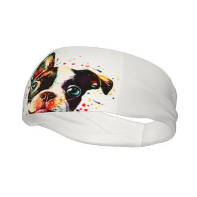 Boston Terrier Watercolor Animal Sweat Headband Headwrap Ζάντα για τα μαλλιά Yoga Basketball Running Sports Sweatband Sports Safety for Men