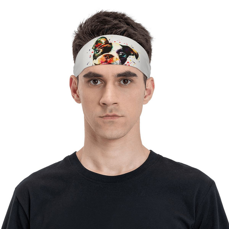 Bostono terjeras akvarelė gyvūnų prakaito galvos apdangalas plaukų juosta Joga krepšinio bėgimo sportinė prakaito juosta Sportinė sauga vyrams