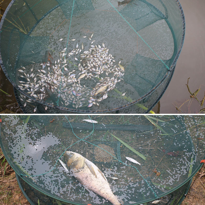 Automaatne püügivõrgu püünispuur ümmargune, vastupidav avatud krabivähi homaari välijõe jaoks