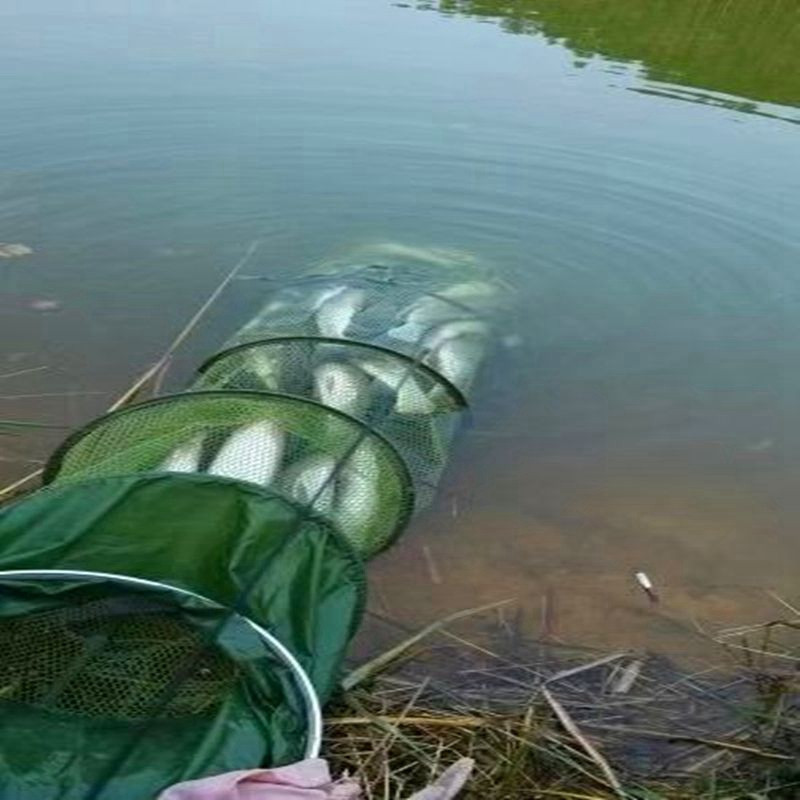 Žvejybos tinklas Nailoninis sulankstomas krevečių narvas Žvejybos spąstai Tinklas omarų gaudyklė Žuvies krepšelio reikmenys Žvejybos reikmenys