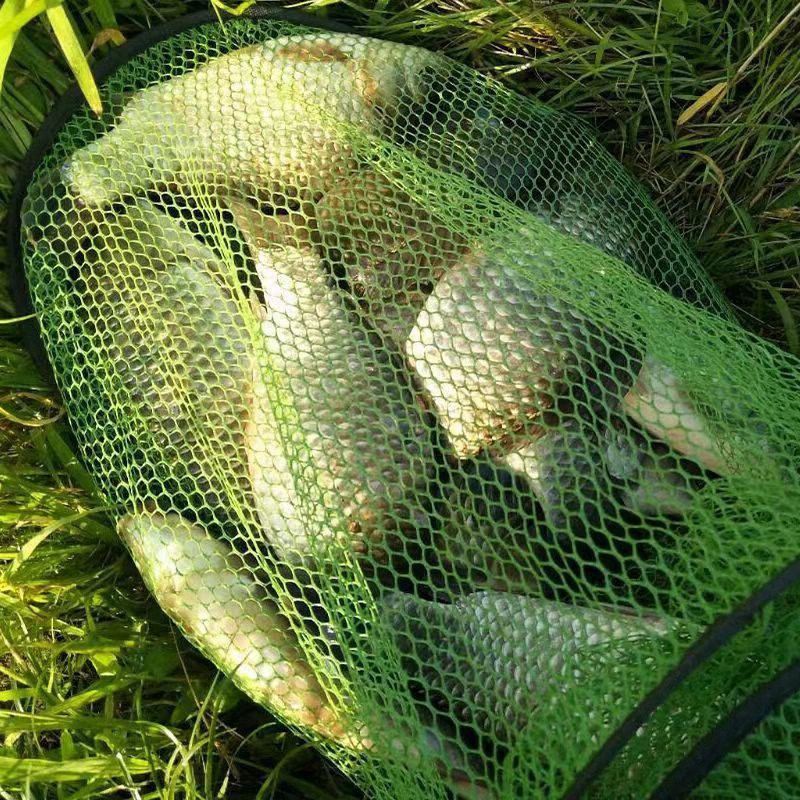 Žvejybos tinklas Nailoninis sulankstomas krevečių narvas Žvejybos spąstai Tinklas omarų gaudyklė Žuvies krepšelio reikmenys Žvejybos reikmenys