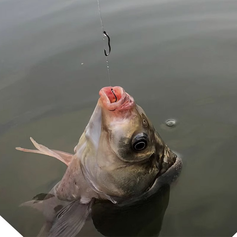12 tk/pakk Uus leiutis kõrge süsinikusisaldusega terasest õngekonks, terava okaraga automaatne ümberpööratav konks karpkalapüügi tarvikutele