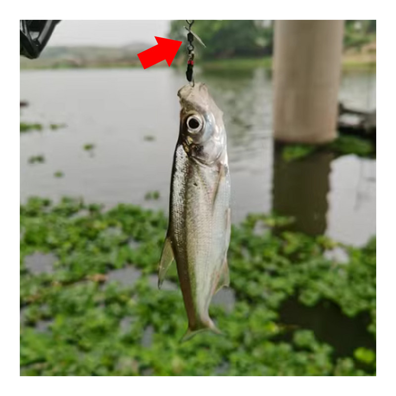 Bionic Tiny Things Composite Besisukantis melionų sėklos blizgučiai Muselių kabliukų rinkinys Žirgų burna Luo Fei Jaukas Baltas dryžuotas masalas