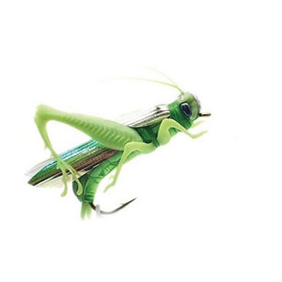 Žvejybos masalas žiogas tarpvalstybinis su aštriu kabliu Locust Bioninis masalas žvejybos įrankiai Luya masalas žvejybos masalai