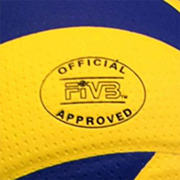 Класическа волейболна топка, модел 200, къмпинг, плаж, по избор помпа + игла + чанта за мрежа