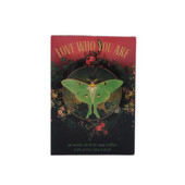 Nauji „Hot 44“ kortelės „Love Who You Are“ Šeimos pramoginiai vaikų žaislai