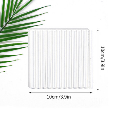 Läbipaistev klaasalus Dekoratiivsed ehete hoiualused Kohvikruus Puuviljad Magustoidud Koogitaldrikud Töölaua toakaunistus Lauakaunistused