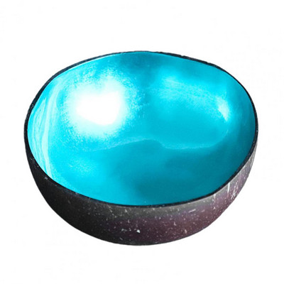 Spremnik za hranu Korisne zdjele od prirodnog kokosovog oraha od ljuske kokosa Vintage oslikane zdjele protiv habanja za kuhinju