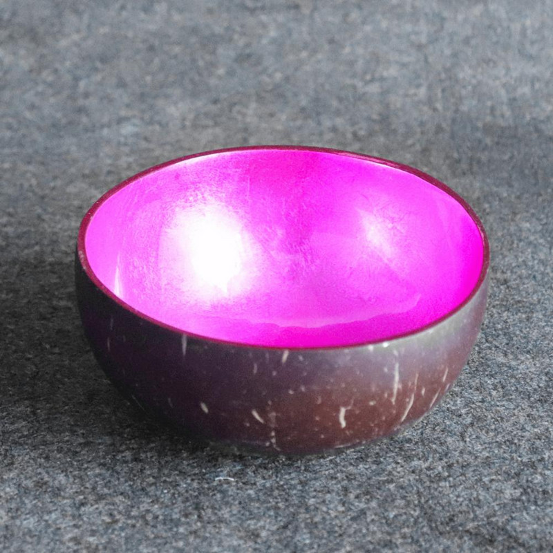 Spremnik za hranu Korisne zdjele od prirodnog kokosovog oraha od ljuske kokosa Vintage oslikane zdjele protiv habanja za kuhinju