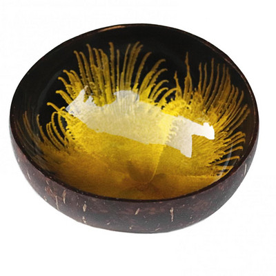 Kausi salatikonteiner Võtme hoiualus Kookospähkli koorega kodukaunistus Käsitöö