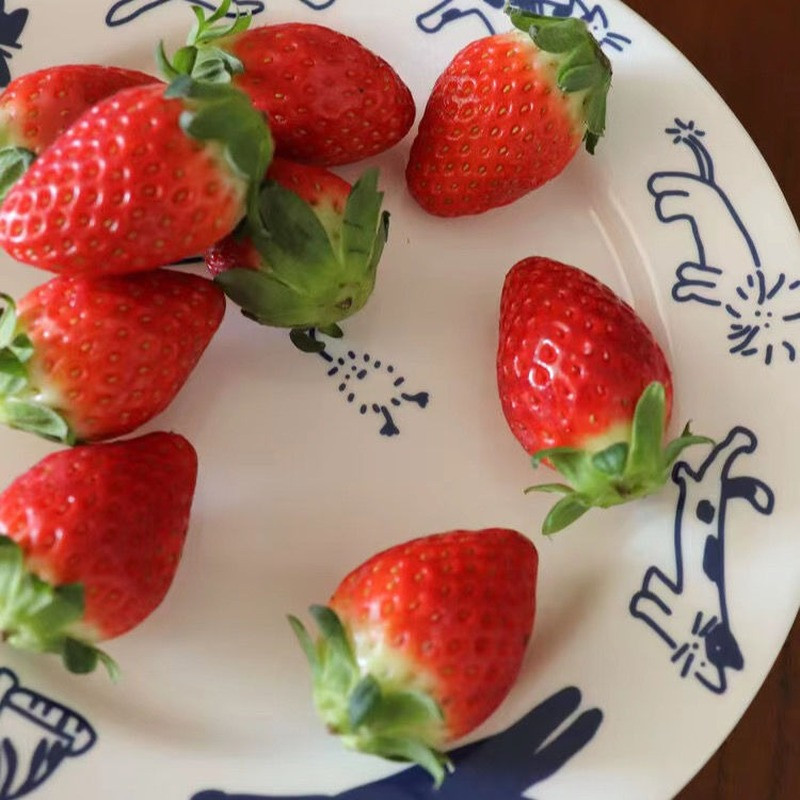 Beating Kitten Blue keraamiline hommikusöögitaldrik Korea stiilis retro magustoit Lääne toidutaldrik Armas tüdruku süda Prantsuse taldrik