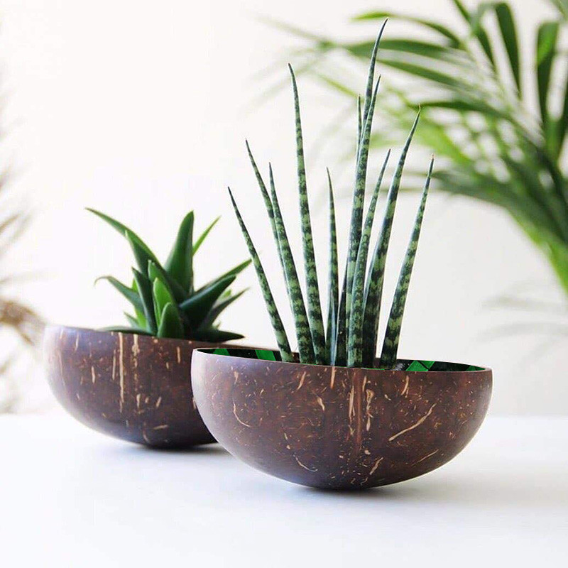 Kókuszos tálak Fából csiszolt gyümölcssaláta tészta rizstál bio kókuszolajjal Természetes diótálak Konyhai eszköz