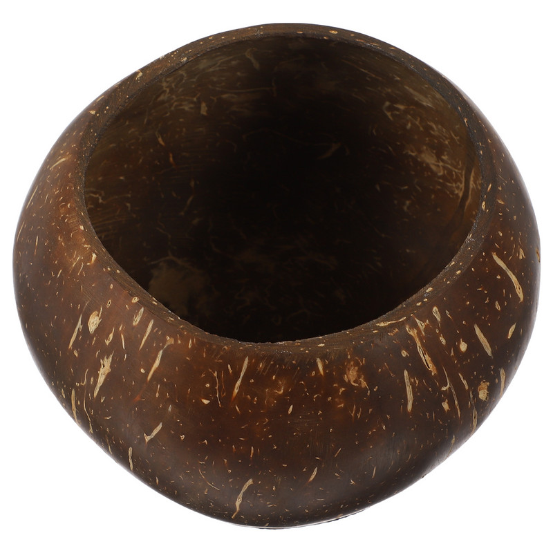 Kookoskoorega kauss Kookospähklid Toit Kookoskoorega tassid suupistete säilitusjook Väike