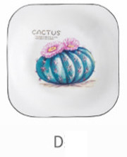 1 tk Kandiline keraamiline taldrik Keraamiline õhtusöögikomplekt Portselanist magustoidutaldrik praad salat suupiste koogitaldrikud Lauanõud Kaktuse kandiline roog