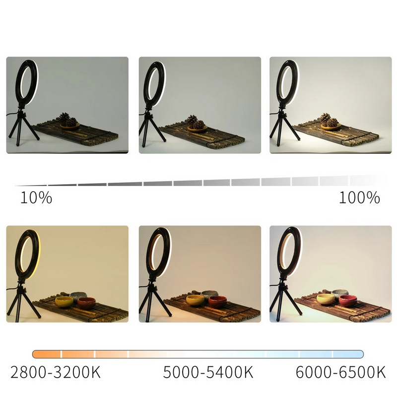 6-tolline 16 cm Selfie lauaarvuti rõngavalgusega LED-lamp koos statiivialuse telefonihoidjaga reaalajas voogesitusmeigi YouTube`i videofotograafia jaoks