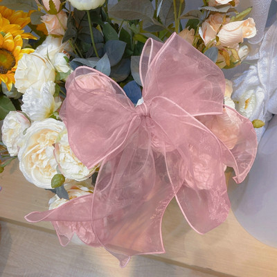 Dvigubo tinklelio lanko plaukų segtukas šoninėje Vienspalvių plaukų žnyplės temperamento plaukų segtukai Moterų mergaičių plaukų aksesuarai 2023 m. vasaros mada