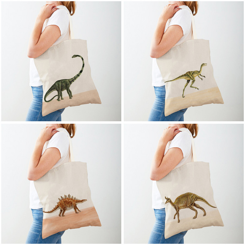 Джурасик динозавър Дамски пазарски чанти Пътна чанта Двустранна анимационна сладка животинска платнена чанта за пазаруване Ежедневна детска чанта