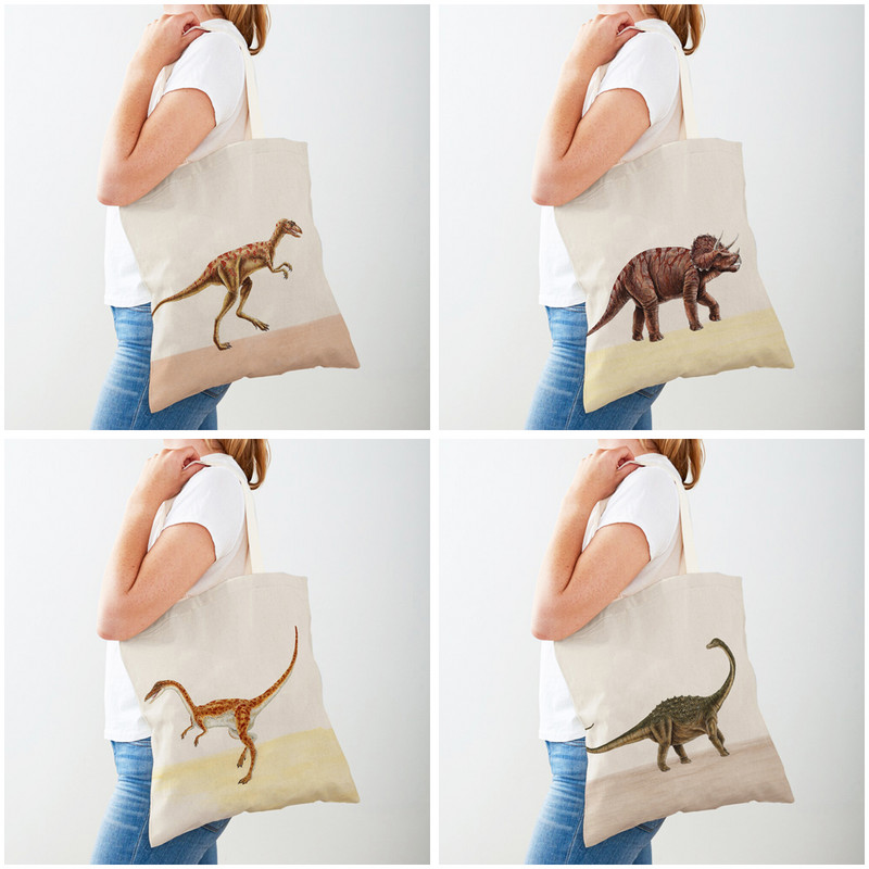 Джурасик динозавър Дамски пазарски чанти Пътна чанта Двустранна анимационна сладка животинска платнена чанта за пазаруване Ежедневна детска чанта
