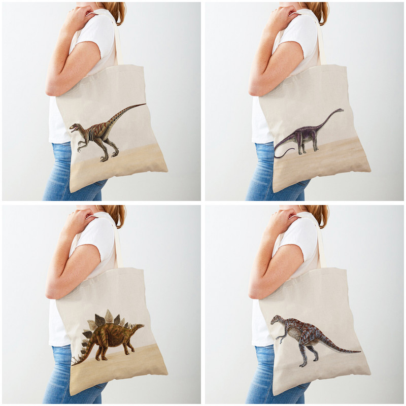 Джурасик динозавър Дамски пазарски чанти Пътна чанта Двустранна анимационна сладка животинска платнена чанта за пазаруване Ежедневна детска чанта