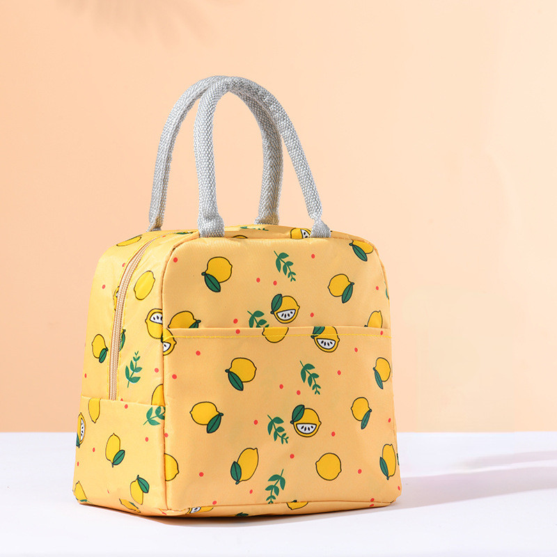 Чанти за обяд за жени На открито Преносима студена изолация Пикник Удебелено алуминиево фолио Кутия за мумия Модна преносима