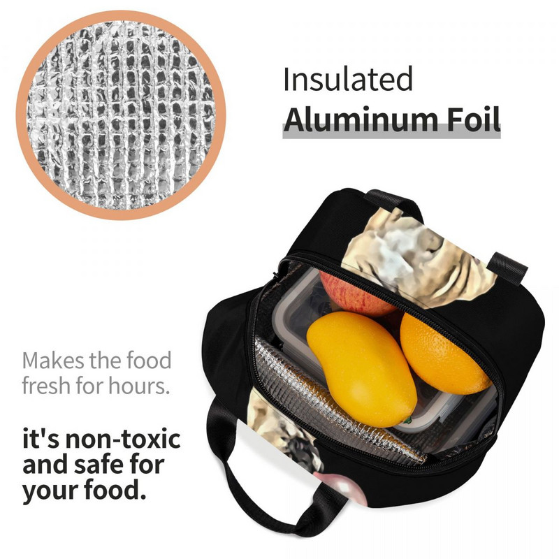 Geantă de prânz izolată cu gumă de buldog francez pentru femei, refrigerator reutilizabil, cutie de prânz termică pentru alimente, școală, serviciu, picnic de călătorie.