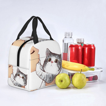Cute Cat No Kisses τσάντα μεσημεριανού γεύματος για γυναίκες Kitten Pet Lover Φορητό ψυγείο θερμομονωμένο Κουτί τροφίμων Σχολική τσάντες πικνίκ εργασίας