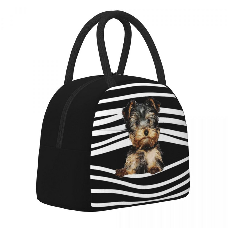 Geantă de prânz pentru bărbați și femei Yorkshire Terrier Frigorific termoizolant portabil pentru picnic școală Yorkie Dog Animal Puppy Lunch Box Bento