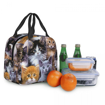 Εκτύπωση μοτίβου χαριτωμένων γατών Φορητή τσάντα για μεσημεριανό γεύμα Τσάντες ψύξης για πικνίκ με μόνωση θερμικό κουτί γεύματος Θήκη Παιδική τσάντα αποθήκευσης σχολικών τροφίμων
