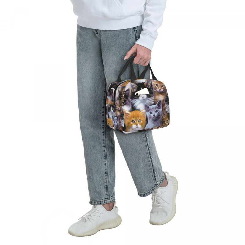 Geantă portabilă de prânz cu imprimare cu model de pisici drăguțe Genți de picnic pentru picnic, cutie termică izolată pentru prânz, pungă de depozitare a alimentelor pentru școală pentru copii