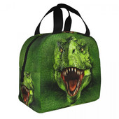 Cool T-rex Dinosaur Print Τσάντα μεσημεριανού γεύματος Cooler Warm Insolated Lunch Box για Γυναίκες Φοιτητές Σχολείο Εργασία για πικνίκ Φαγητό Bento Box Tote