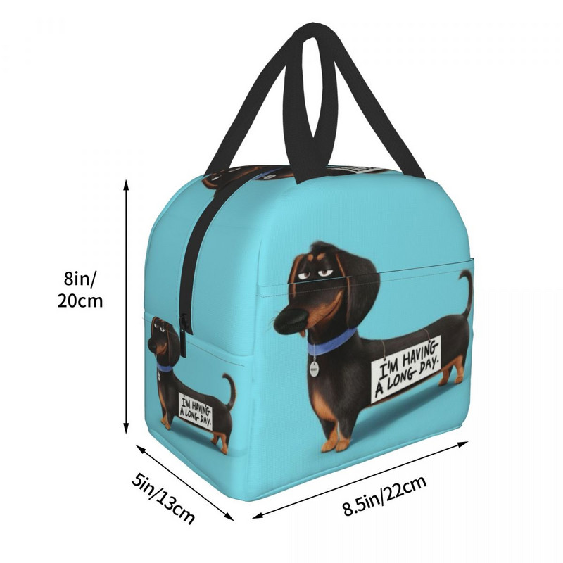 Saci de prânz termoizolate Dachshund Femei Wiener Bursuc Câini Cârnați Recipient de prânz reutilizabil pentru Picnic în aer liber Cutie de mâncare