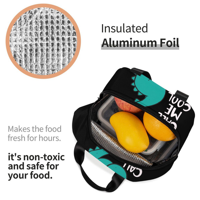 Γυναικεία τσάντα μεσημεριανού εκτυπώσεων κινουμένων σχεδίων Δεινοσαύρων με θερμομόνωση Κουτί γεύματος για παιδιά Σχολική εργασία για πικνίκ Φαγητό Tote Bento Box