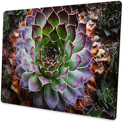 Cactus Mouse Pad Egyedülálló kialakítású, csúszásgátló gumi bázisú egérpad asztali számítógépekhez és laptopokhoz, 9,5x7,9 hüvelykes