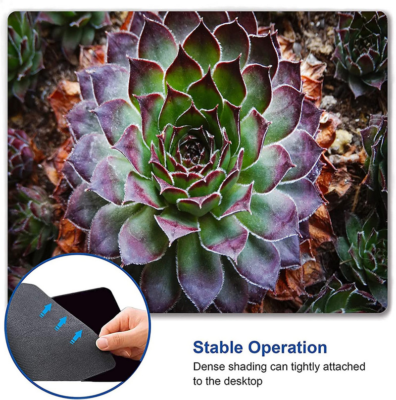 Подложка за мишка Cactus Уникален дизайн Противоплъзгаща се гумена основа Подложка за мишка за настолен компютър и лаптоп Подложка за мишка 9,5X7,9 инча