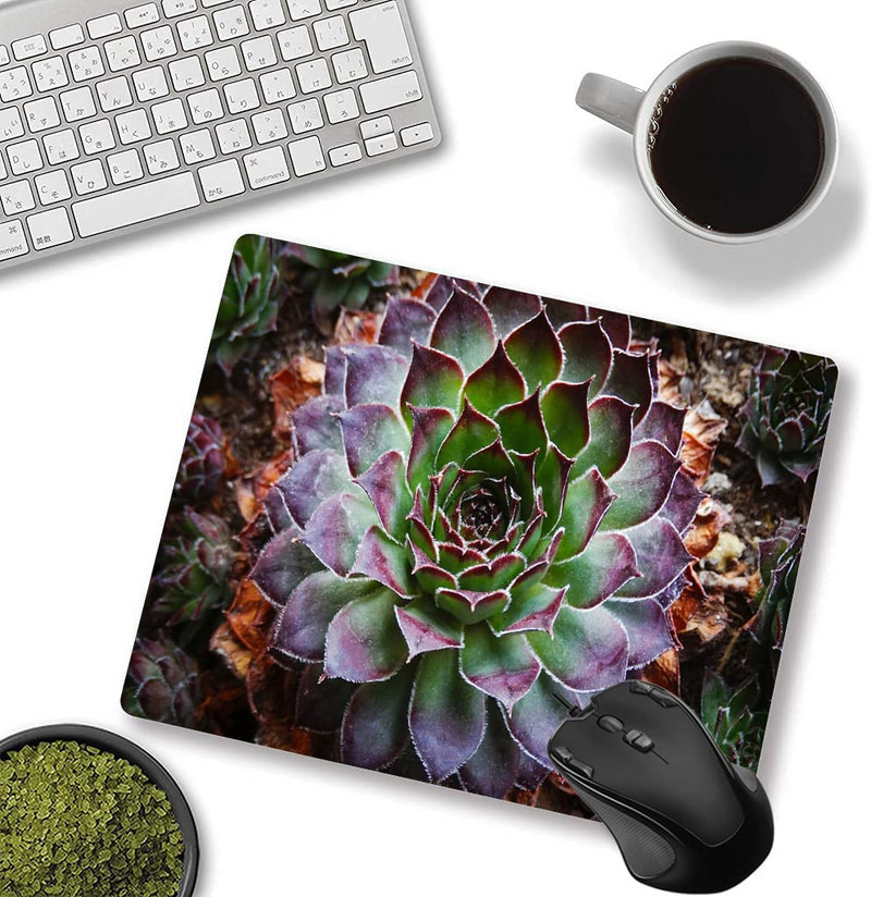 Подложка за мишка Cactus Уникален дизайн Противоплъзгаща се гумена основа Подложка за мишка за настолен компютър и лаптоп Подложка за мишка 9,5X7,9 инча