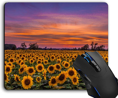 Egérpad, Napraforgó Field Sunset Számítógép Egérpadok Asztali kiegészítők Csúszásmentes gumitalp, Egérpad laptop egérhez