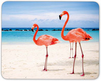 Flamingos Walking Подложка за мишка Неплъзгаща се гумена подложка за мишка-Отнася се за игри Начало Училище Офис Подложка за мишка 9,5x7,9 инча