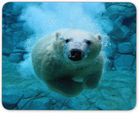 Polar Bears in The Water Mouse pad Αντιολισθητικό Rubber Mousepad-Ισχύει για παιχνίδια Home School Office Mouse pad 9,5x7,9 In
