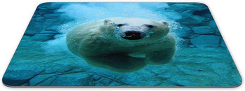 Polar Bears in The Water Подложка за мишка Неплъзгаща се гумена подложка за мишка-Отнася се за игри Начало Училище Офис Подложка за мишка 9,5x7,9 инча
