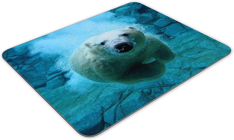 Polar Bears in The Water Mouse pad Αντιολισθητικό Rubber Mousepad-Ισχύει για παιχνίδια Home School Office Mouse pad 9,5x7,9 In